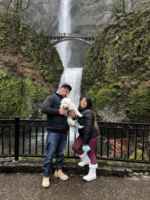 Multnomah Falls by null