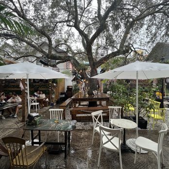 NEVERLAND COFFEE BAR - Updated February 2025 - 3200 Photos & 1084