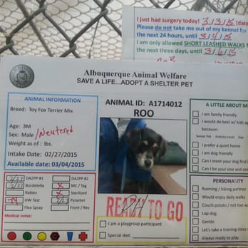 Westside Animal Welfare Department - Animal Shelters Near Me - Albuquerque, New Mexico Westside Animal Welfare Department - Animal Shelters Near Me - Albuquerque, New Mexico