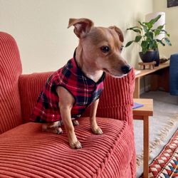 Our Best Friends - Ruthie wearing her tartan fleece from Our Best Friends