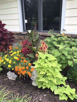 Strawberry Hill Farms by null