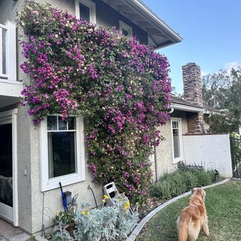 Reg’s Tree Service - Tree Services Near Me - Corona, California Reg’s Tree Service - Tree Services Near Me - Corona, California