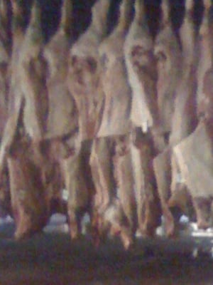 STX Beef Company LLC