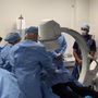 Miami Stem Cell