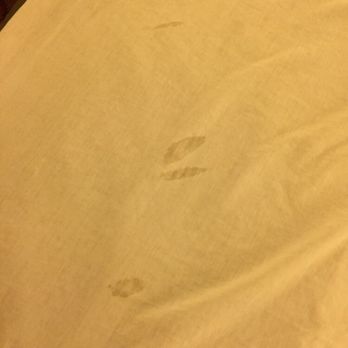 Super 8 by Wyndham Belleville - Stains on the sheets. - Hotels Near Me - Belleville, Michigan