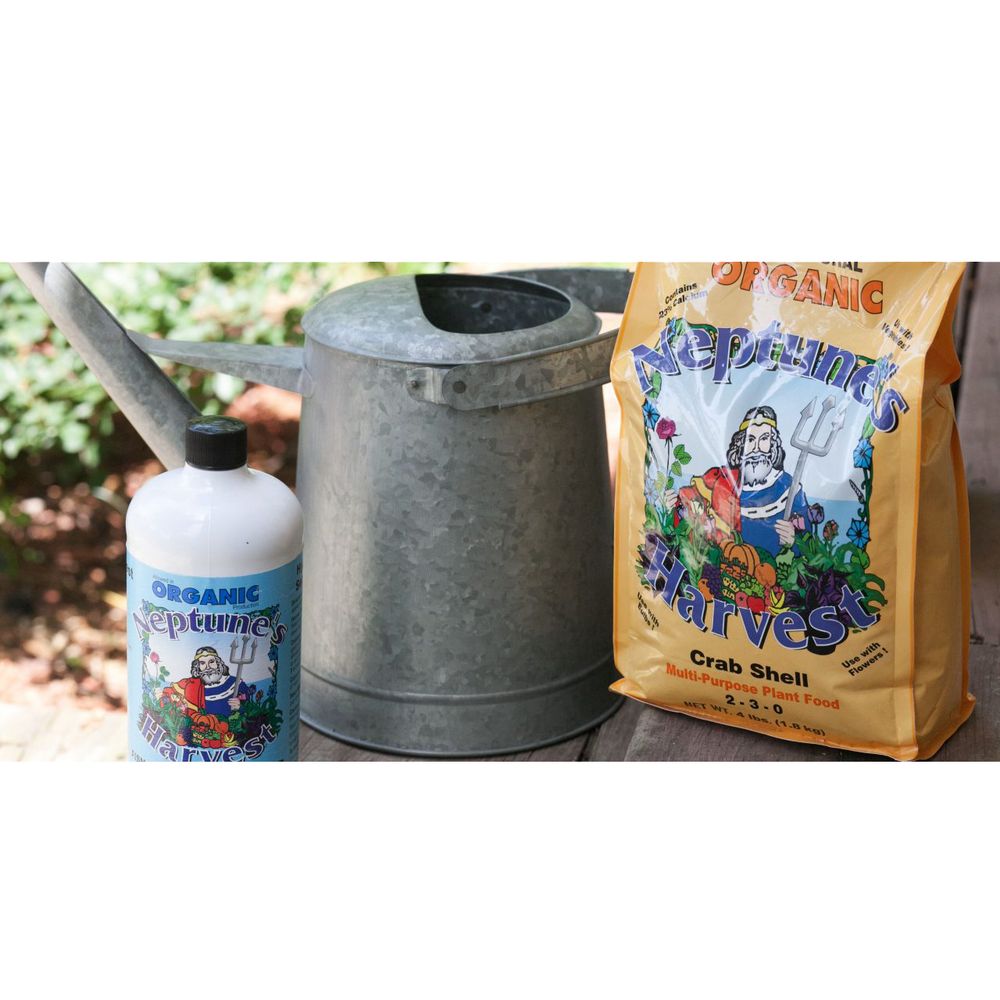 NEPTUNE’S HARVEST 28 Kondelin Rd, Gloucester, Massachusetts