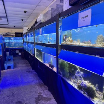 Carson Tropical - Saltwater fish selection - Local Fish Stores Near Me - Hawaiian Gardens, California