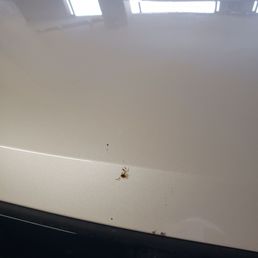 bird doo doo not even cleaned after the wash bird doo doo not even cleaned after the wash