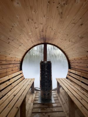 The Rex Hotel by null