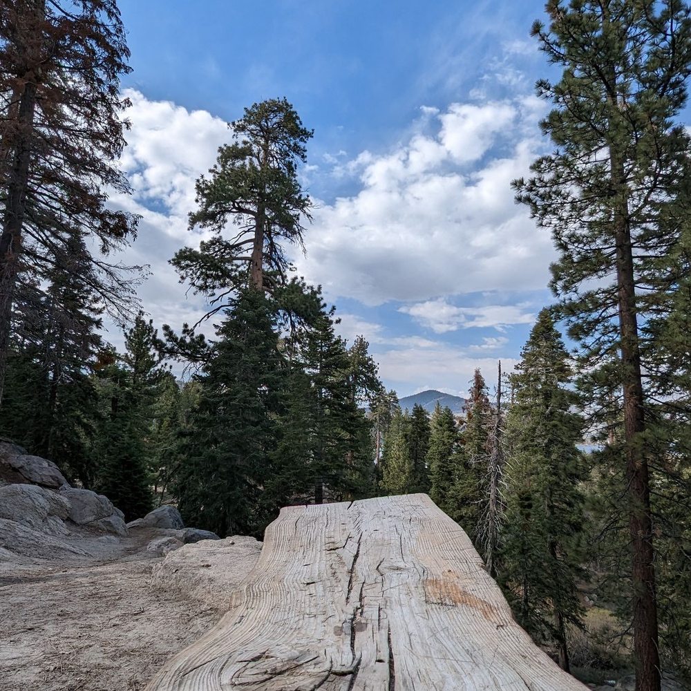 Castle Rock Trail - Hiking Near Me - Big Bear Lake, California