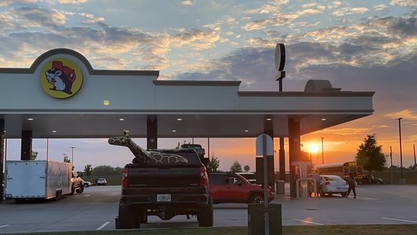 Buc-ee's by null