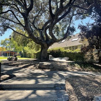 Willard Park - Parks Near Me - Berkeley, California