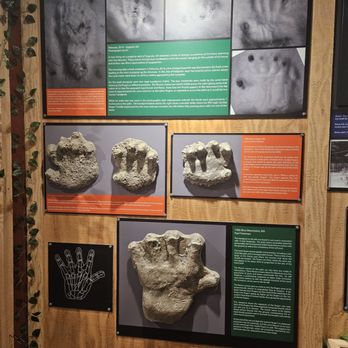 North American Bigfoot Center - Handprint casts - Museums Near Me - Boring, Oregon North American Bigfoot Center - Handprint casts - Museums Near Me - Boring, Oregon