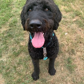 Barkhouse - Pet Groomers Near Me - San Diego, California