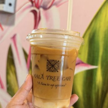 Hala Tree Cafe - Iced Caramel Latte with Coconut Milk. 10/10 - Coffee & Tea Near Me - Honolulu, Hawaii Hala Tree Cafe - Iced Caramel Latte with Coconut Milk. 10/10 - Coffee & Tea Near Me - Honolulu, Hawaii