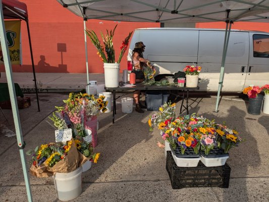 Pacific Beach Tuesday Farmers' Market by null