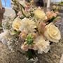 Photo of Spring Cypress Flowers