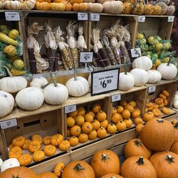 Sprouts Farmers Market - Pumpkin Patch at Sprouts