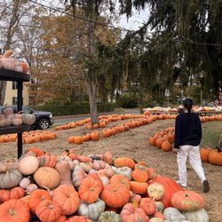 Wells Hollow Farms