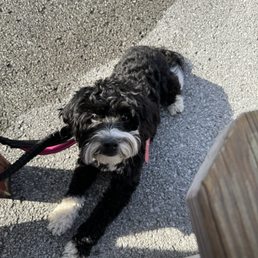 My baby enjoying it