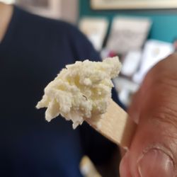 Nicasio Valley Cheese Company - Cheese tasting (foggy morning)