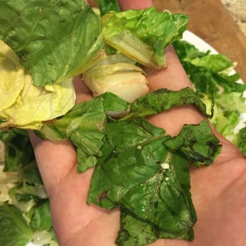Trader Joe's - VERY DISAPPOINTED with the quality of salad! I just bought it less than 15 mins ago and trying to eat it, found old bad quality lettuce :S - Grocery Near Me - Granada Hills, California Trader Joe's - VERY DISAPPOINTED with the quality of salad! I just bought it less than 15 mins ago and trying to eat it, found old bad quality lettuce :S - Grocery Near Me - Granada Hills, California