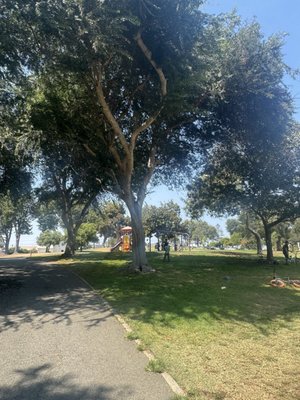 Edward Vincent Jr. Park by null