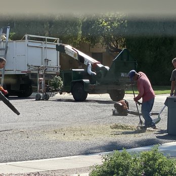 Sam the Tree Guy - Tree Services Near Me
