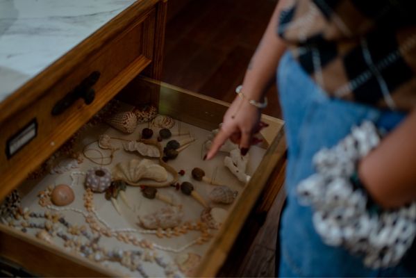 Houston Museum of Natural Science by null