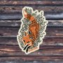 Furturtle Show Prints