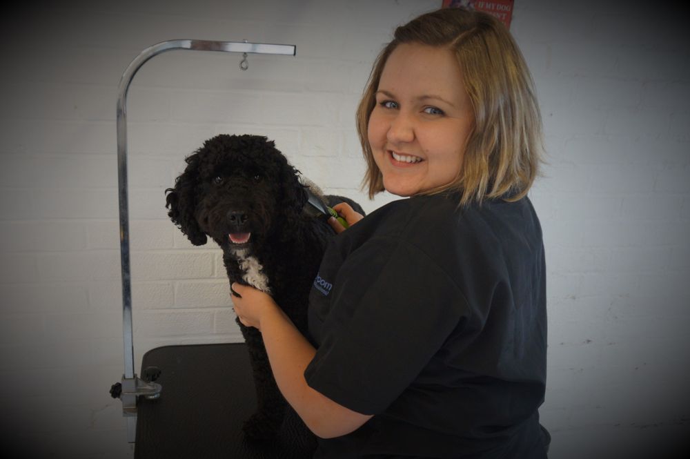 SCOOBY’S GROOMING SALON Updated April 2024 68 Hollyhurst Road