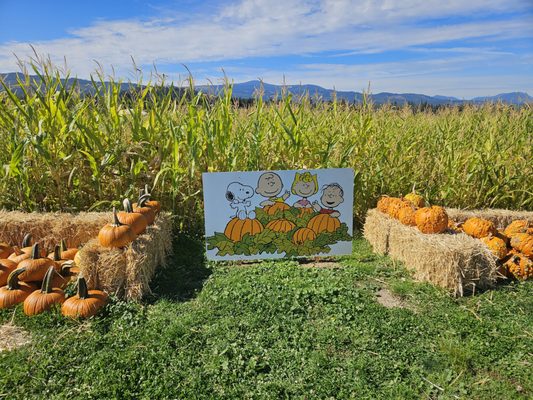 Packer Orchards & Bakery by null