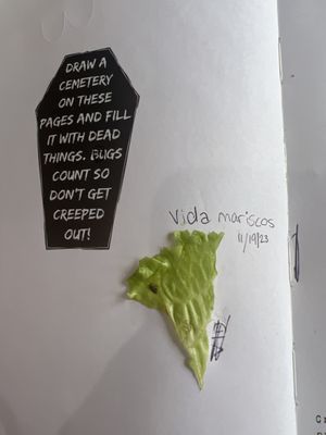 Menu photo 3 Vida Mariscos Katy, TX