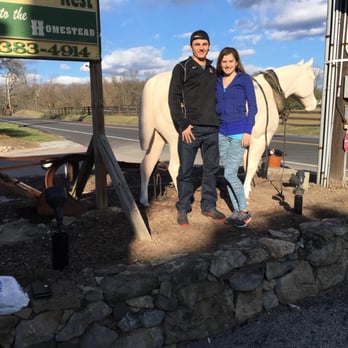 Homestead Rest - American Near Me - Sparta, New Jersey
