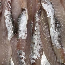 Kingfish Seafood - Flathead