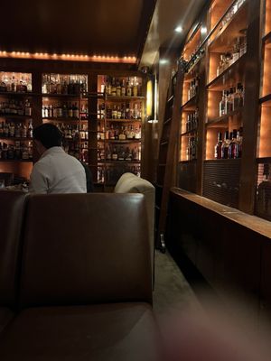 Brandy Library by null