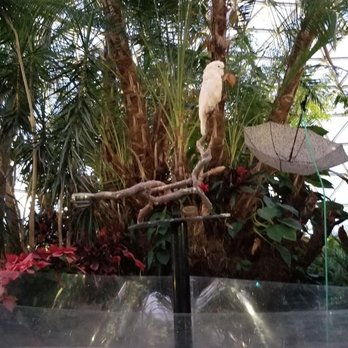 Bloedel Conservatory - Botanical Gardens Near Me - Vancouver, British Columbia