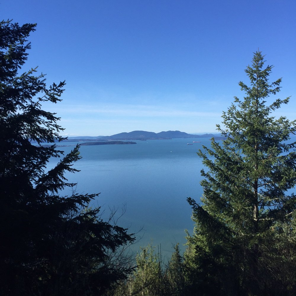 Oyster Dome Trail - Sneak peek along the way. - Hiking Near Me - Bow, Washington Oyster Dome Trail - Sneak peek along the way. - Hiking Near Me - Bow, Washington