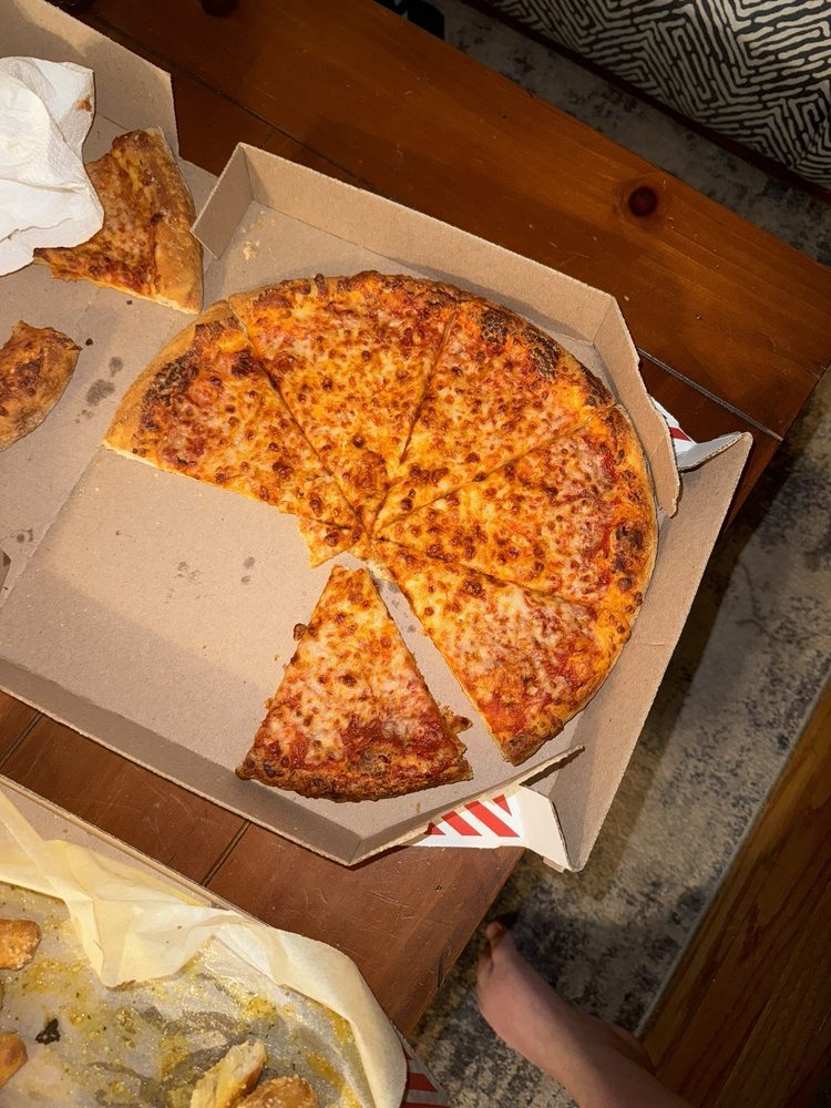 Domino's Pizza Logo