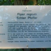 Foto zu Tropengewächshäuser des Botanischen Gartens - Hamburg, Deutschland