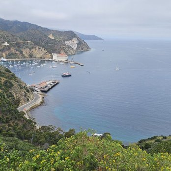Catalina Island - Avalon harbor - Local Flavor Near Me Catalina Island - Avalon harbor - Local Flavor Near Me