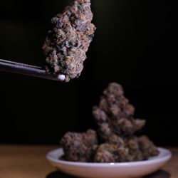 Five Zero Trees