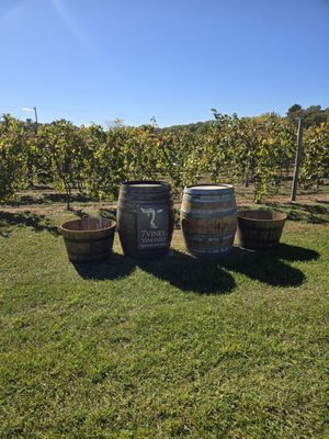 7 Vines Vineyard and Winery by null