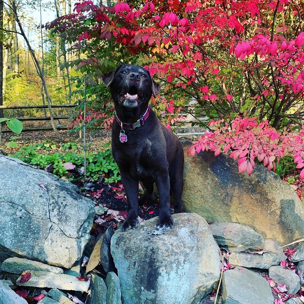 WRIGHT & FORD FAMILY FUNERAL HOME AND CREMATION SERVICES 59 Photos