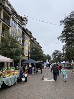 Maitland Farmer's Market by null