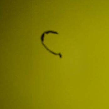 Great Wall - This is part of a twist tie found cooked into my food at Great Wall. When I called to report I was told it was no big deal. - Chinese Near Me - Normal, Illinois