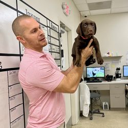 Bridge Park Animal Hospital - Puppy Wellness Visits with Dr. Tkac!