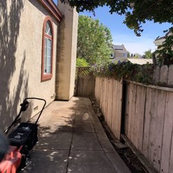 Turtlemann - Side yard B