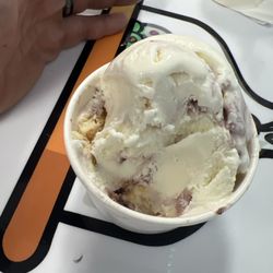 Frozen In Time Gourmet Ice Cream