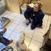 Mariners Mile Pet Clinic gift card